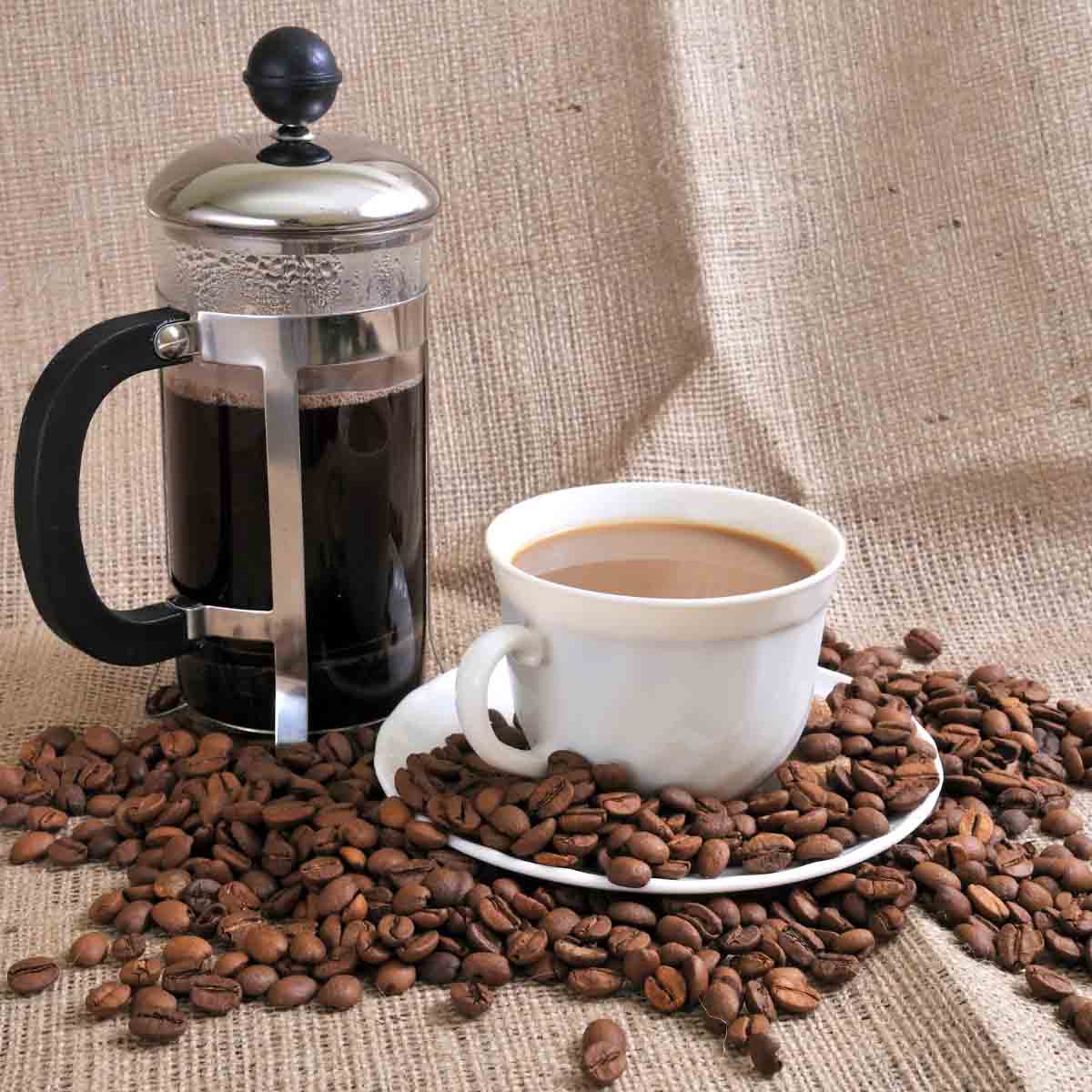 فرنچ پرس پر از قهوه با بخار بالا آمده از فنجان