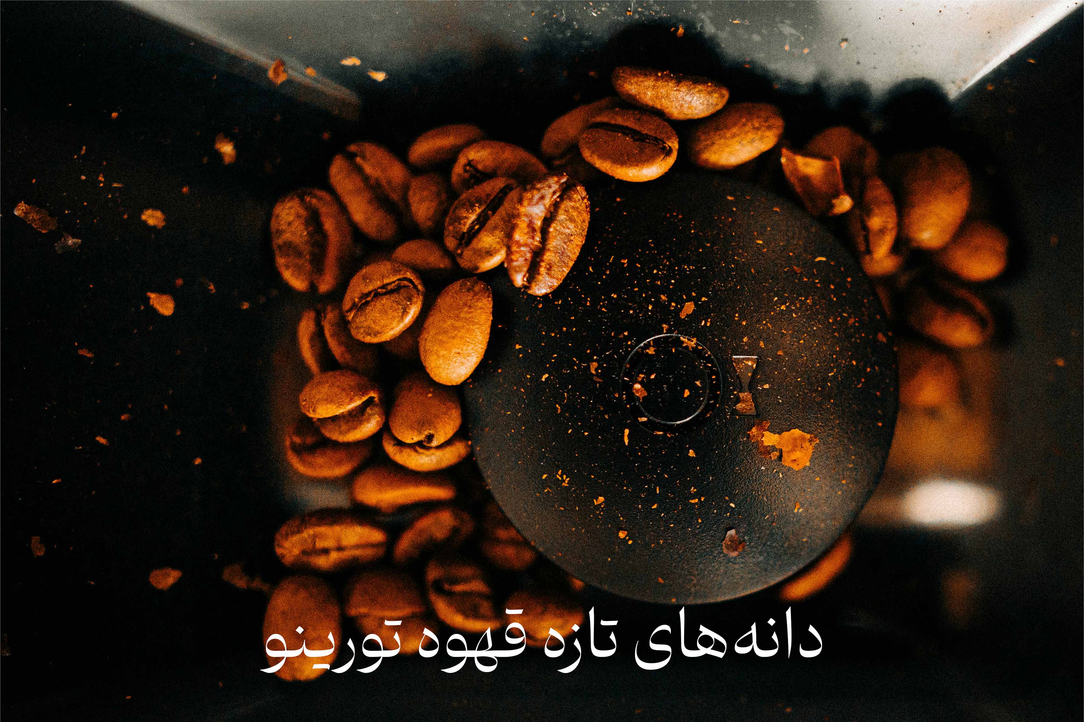 دانه‌های تازه قهوه تورینو در حال آسیاب شدن