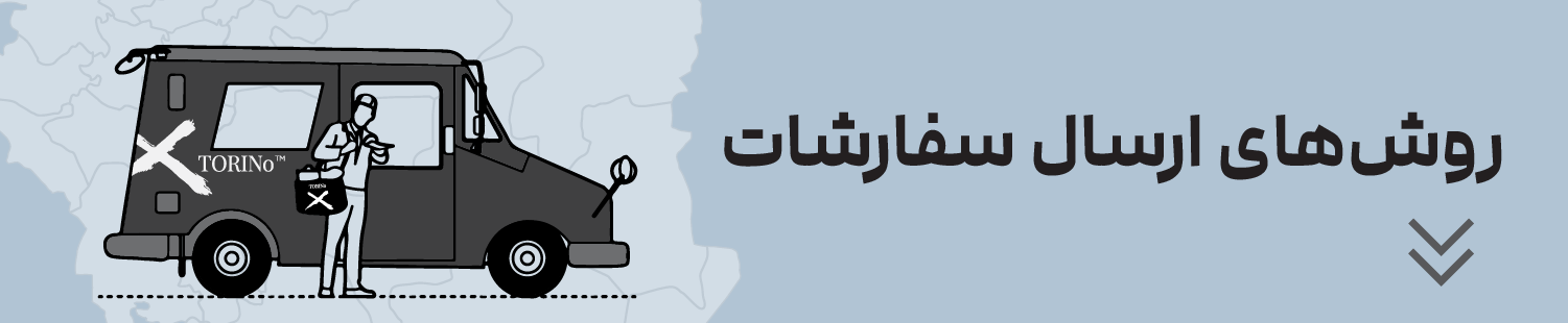 torino-delivery
